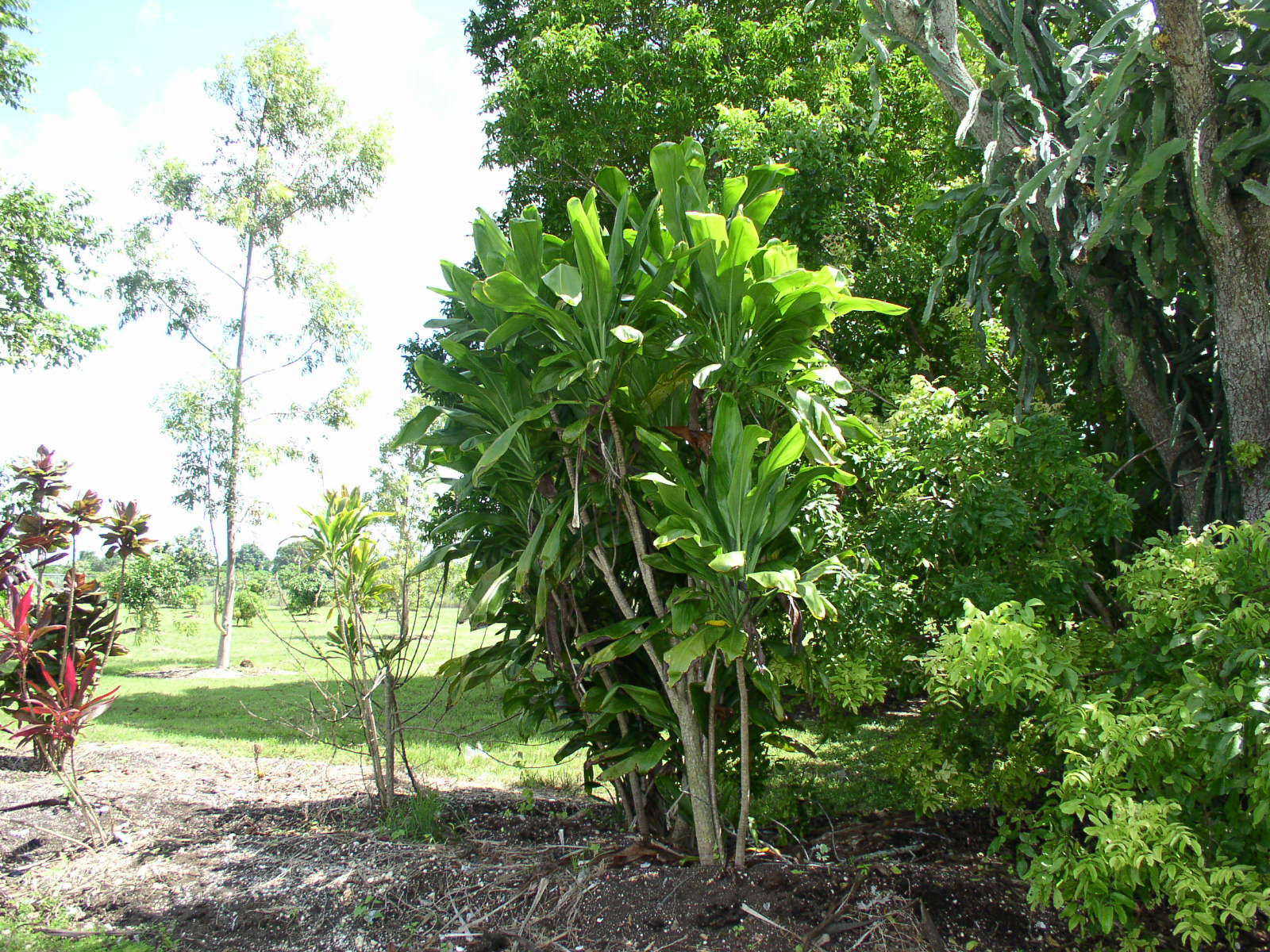 photo1